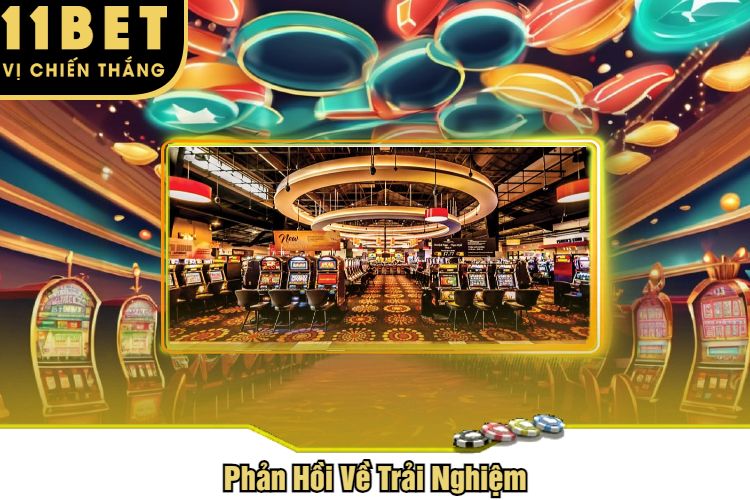 Phản Hồi Về Trải Nghiệm